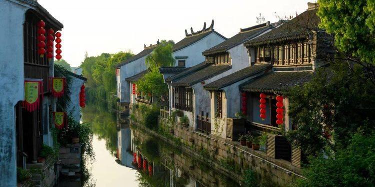 这个是什么肉肉,开花后要修剪吗_这个是什么肉肉,开花后要修剪吗红迪网平台,最新资讯、讨论和分享